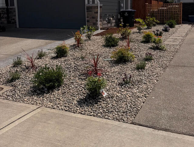 Front yard planting bed with rock mulch and new shrubs