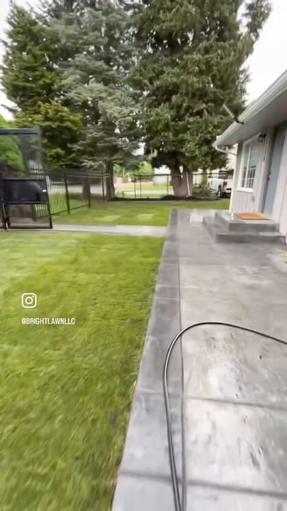 A mown lawn with crisp stripes running to a black chain link fence and planting beds