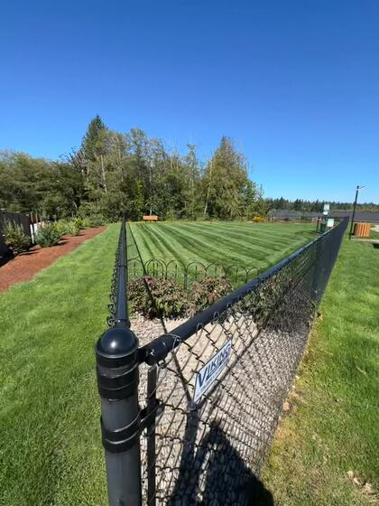 Walking a finished concrete walkway beside a green lawn and a large evergreen