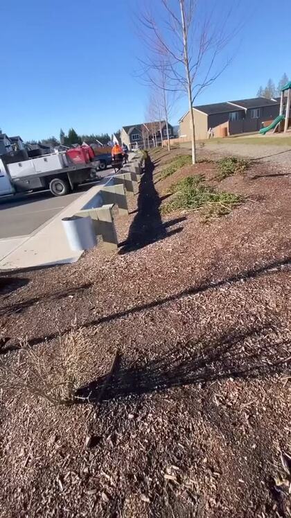 Fresh dark mulch spread through street side planting beds with the work truck parked alongside