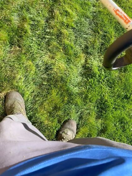 Close up of thick even green grass beside a mower deck mid cut